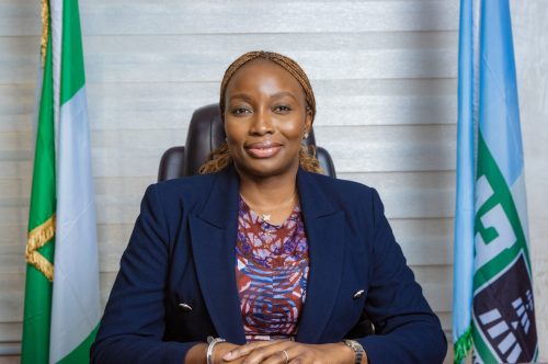 INDEPENDENCE DAY MESSAGE FROM THE MD/CE, FEDERAL AIRPORTS AUTHORITY OF NIGERIA (FAAN), MRS. OLUBUNMI KUKU